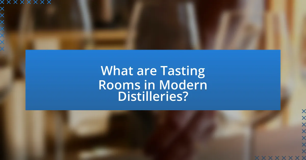 What are Tasting Rooms in Modern Distilleries?