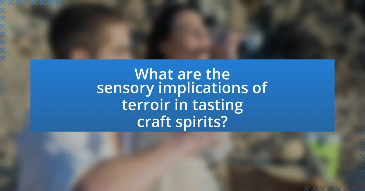 What are the sensory implications of terroir in tasting craft spirits?