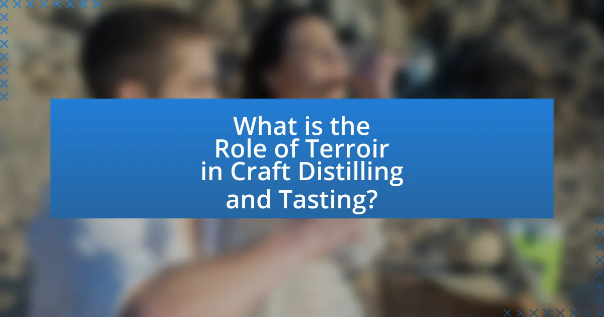 What is the Role of Terroir in Craft Distilling and Tasting?
